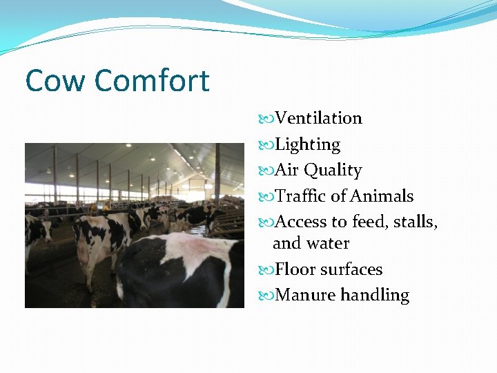 Cow Comfort Ventilation Lighting Air Quality Traffic of Animals Access to feed, stalls, and