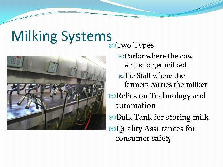 Milking Systems Two Types Parlor where the cow walks to get milked Tie Stall