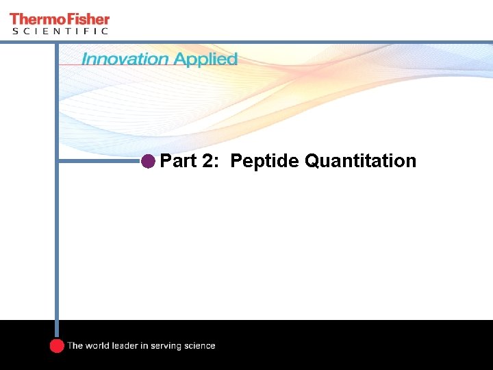 Part 2: Peptide Quantitation 