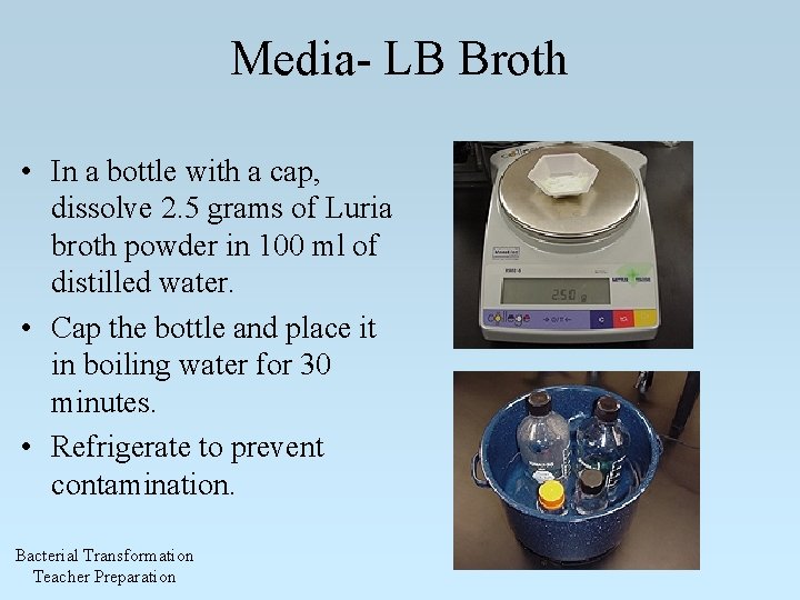 Media- LB Broth • In a bottle with a cap, dissolve 2. 5 grams