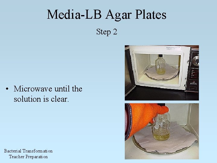 Media-LB Agar Plates Step 2 • Microwave until the solution is clear. Bacterial Transformation