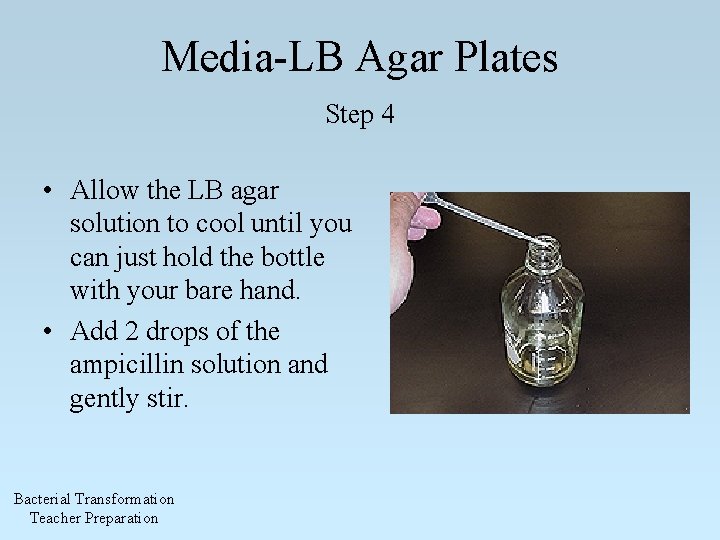 Media-LB Agar Plates Step 4 • Allow the LB agar solution to cool until