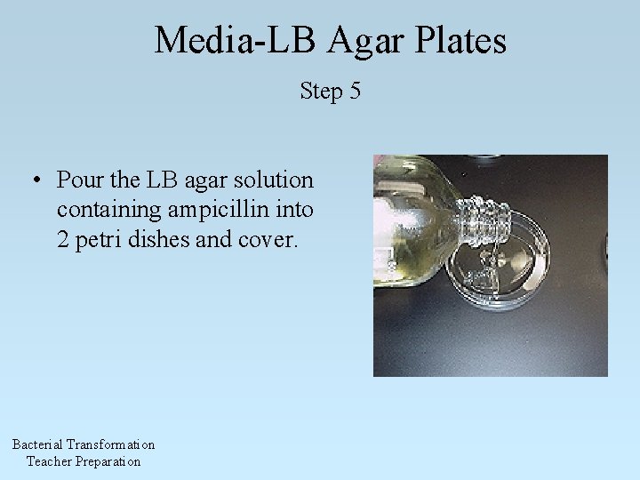 Media-LB Agar Plates Step 5 • Pour the LB agar solution containing ampicillin into