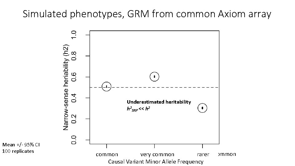 Simulated phenotypes, GRM from common Axiom array Underestimated heritability h 2 SNP << h