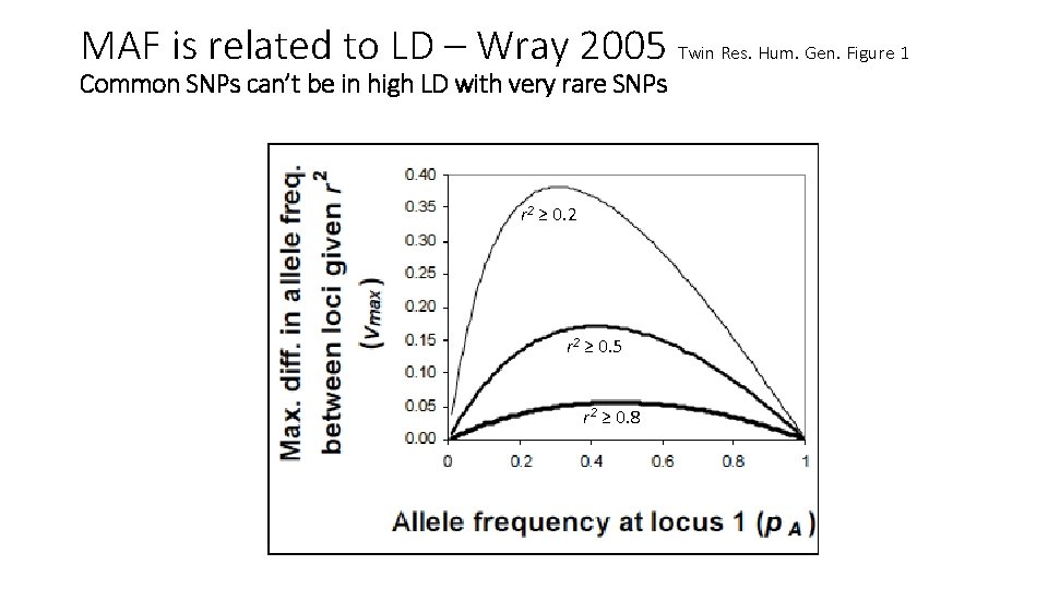 MAF is related to LD – Wray 2005 Twin Res. Hum. Gen. Figure 1