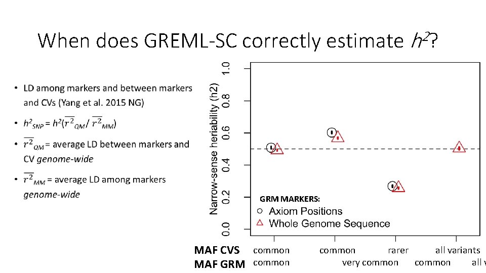 When does GREML-SC correctly estimate h 2? • GRM MARKERS: MAF CVS common rarer