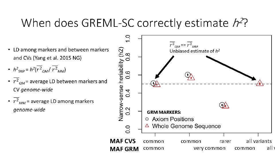 When does GREML-SC correctly estimate h 2? • GRM MARKERS: MAF CVS common rarer