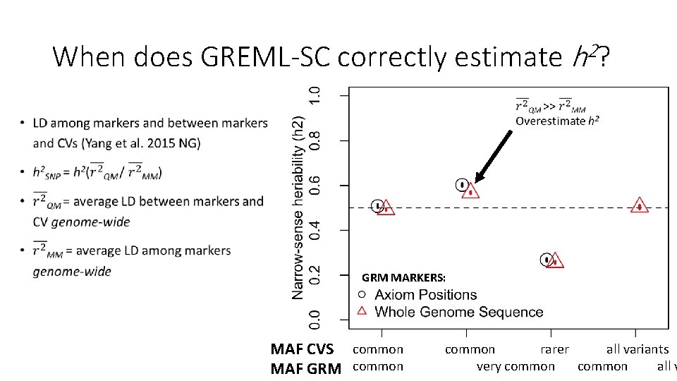 When does GREML-SC correctly estimate h 2? • GRM MARKERS: MAF CVS common rarer