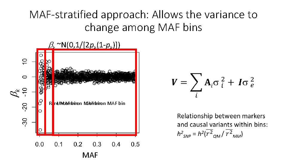 MAF-stratified approach: Allows the variance to change among MAF bins k ~N(0, 1/[2 pk(1