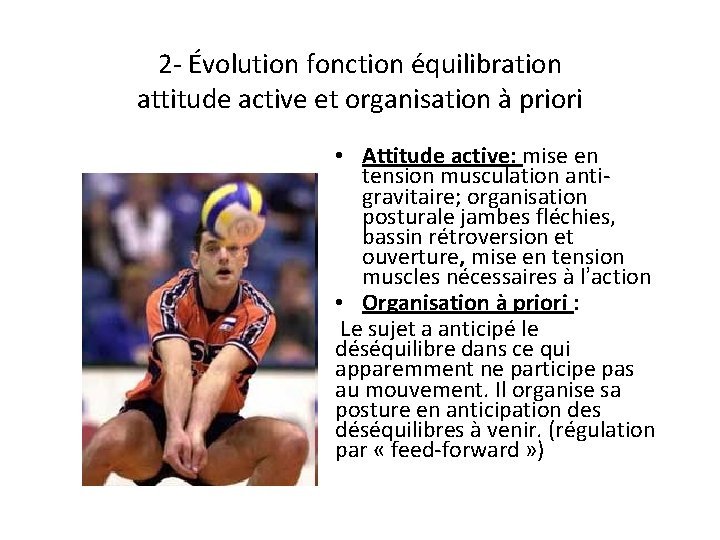 2 - Évolution fonction équilibration attitude active et organisation à priori • Attitude active: