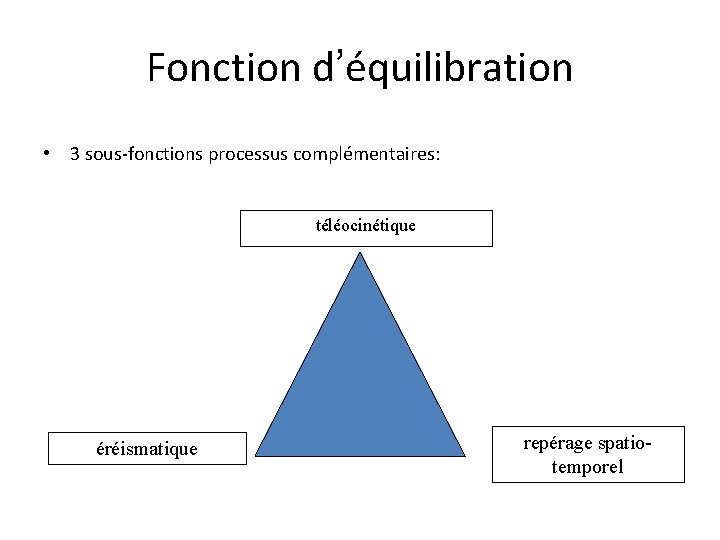 Fonction d’équilibration • 3 sous-fonctions processus complémentaires: téléocinétique éréismatique repérage spatiotemporel 