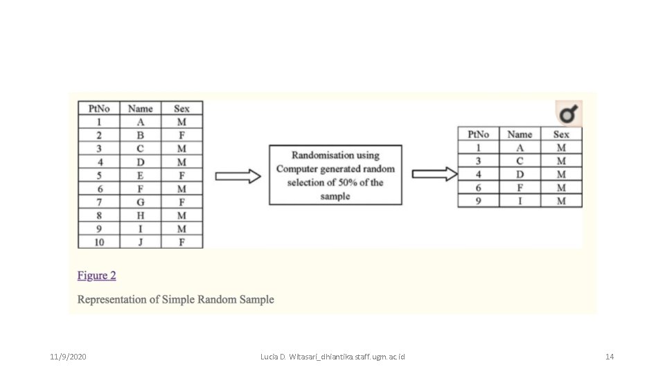 11/9/2020 Lucia D. Witasari_dhiantika. staff. ugm. ac. id 14 