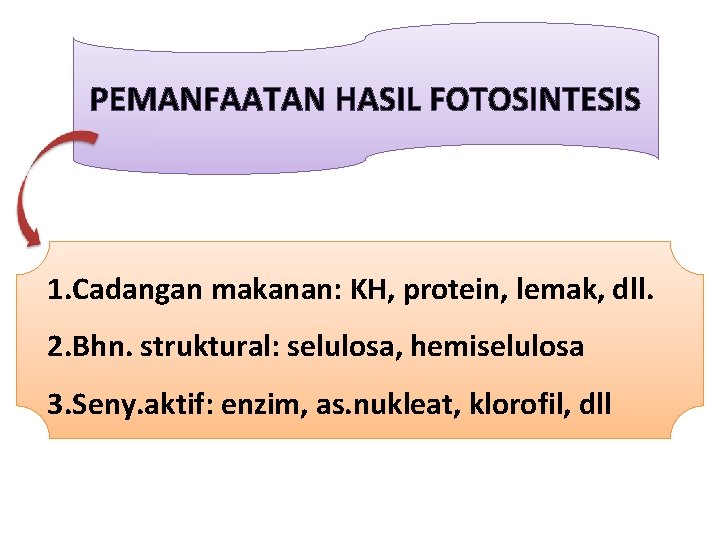 PEMANFAATAN HASIL FOTOSINTESIS 1. Cadangan makanan: KH, protein, lemak, dll. 2. Bhn. struktural: selulosa,