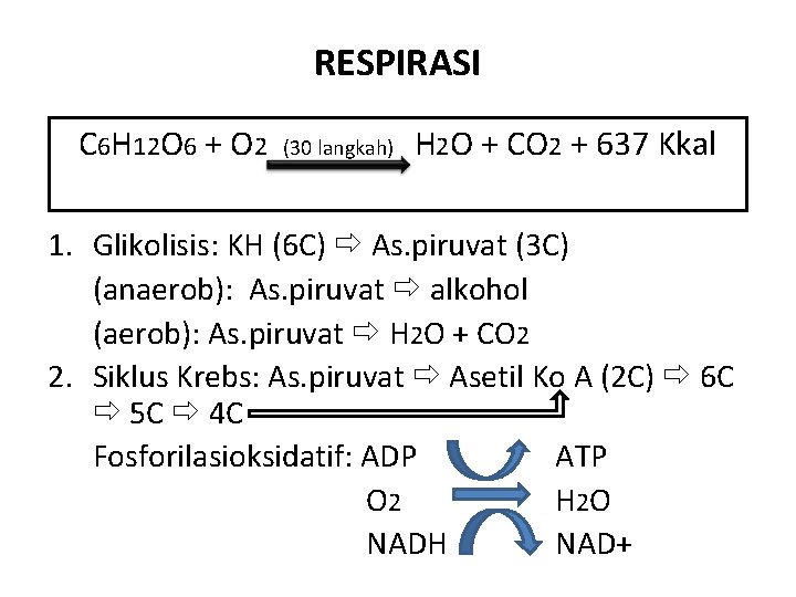 RESPIRASI C 6 H 12 O 6 + O 2 (30 langkah) H 2