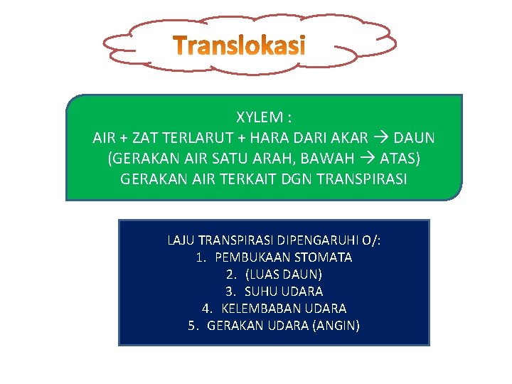 XYLEM : AIR + ZAT TERLARUT + HARA DARI AKAR DAUN (GERAKAN AIR SATU