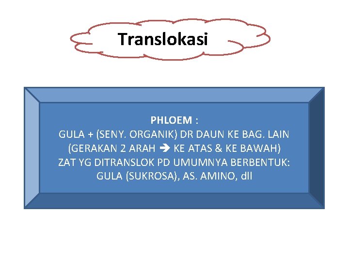 Translokasi PHLOEM : GULA + (SENY. ORGANIK) DR DAUN KE BAG. LAIN (GERAKAN 2