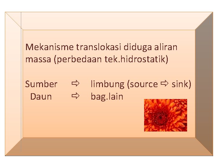 Mekanisme translokasi diduga aliran massa (perbedaan tek. hidrostatik) Sumber Daun limbung (source sink) bag.