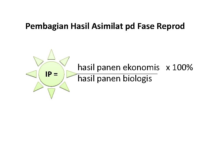 Pembagian Hasil Asimilat pd Fase Reprod IP = hasil panen ekonomis x 100% hasil