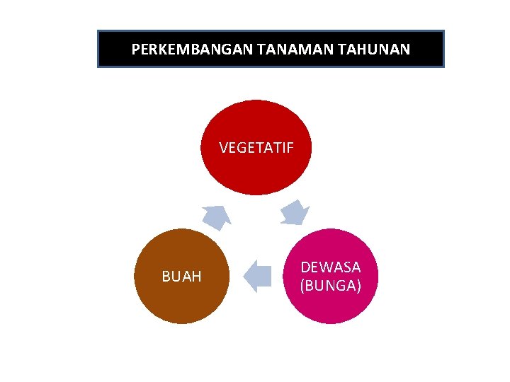 PERKEMBANGAN TANAMAN TAHUNAN VEGETATIF BUAH DEWASA (BUNGA) 