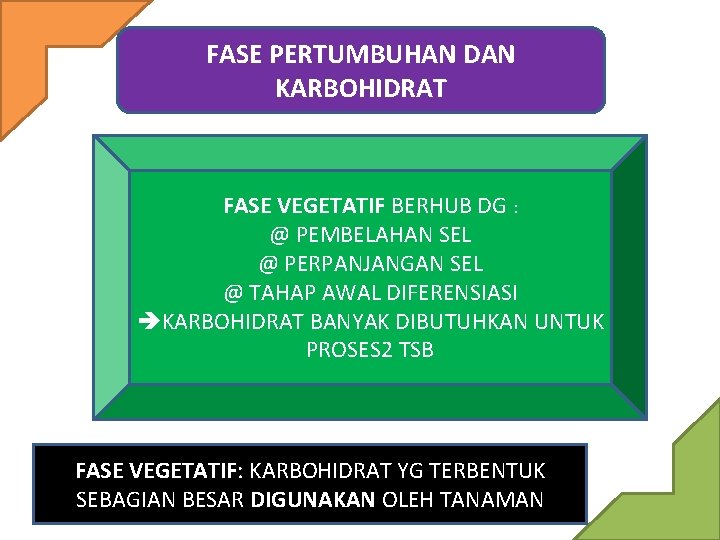 FASE PERTUMBUHAN DAN KARBOHIDRAT FASE VEGETATIF BERHUB DG : @ PEMBELAHAN SEL @ PERPANJANGAN