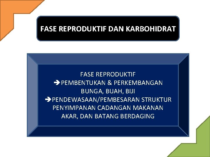 FASE REPRODUKTIF DAN KARBOHIDRAT FASE REPRODUKTIF PEMBENTUKAN & PERKEMBANGAN BUNGA, BUAH, BIJI PENDEWASAAN/PEMBESARAN STRUKTUR