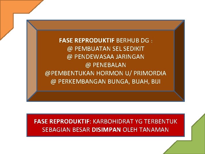 FASE REPRODUKTIF BERHUB DG : @ PEMBUATAN SEL SEDIKIT @ PENDEWASAA JARINGAN @ PENEBALAN