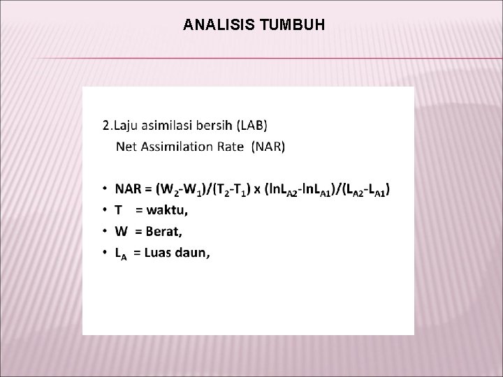 ANALISIS TUMBUH 