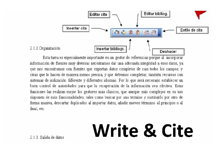 Write & Cite 