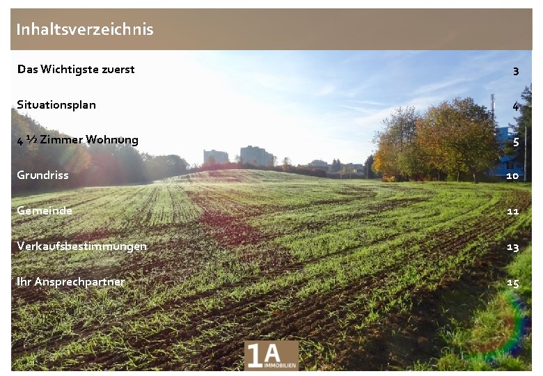 Inhaltsverzeichnis Das Wichtigste zuerst 3 Situationsplan 4 4 ½ Zimmer Wohnung 5 Grundriss 10