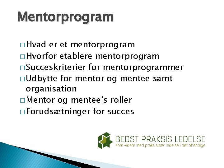 Mentorprogram � Hvad er et mentorprogram � Hvorfor etablere mentorprogram � Succeskriterier for mentorprogrammer