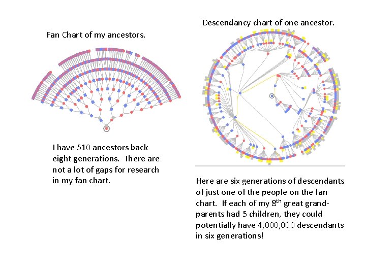 Descendancy chart of one ancestor. Fan Chart of my ancestors. I have 510 ancestors