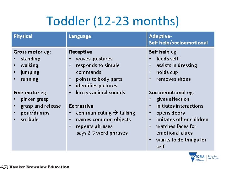 Toddler (12 -23 months) Physical Language Adaptive. Self help/socioemotional Gross motor eg: • standing