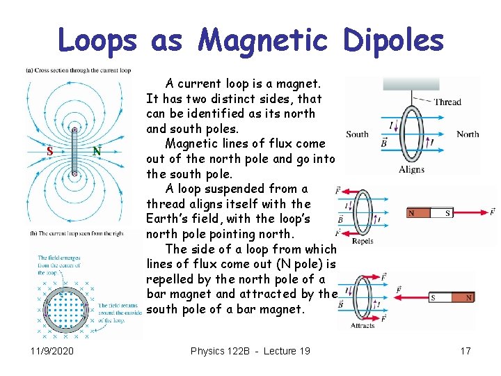 Loops as Magnetic Dipoles S 11/9/2020 N A current loop is a magnet. It