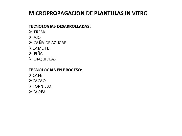 MICROPROPAGACION DE PLANTULAS IN VITRO TECNOLOGIAS DESARROLLADAS: Ø FRESA Ø AJO Ø CAÑA DE