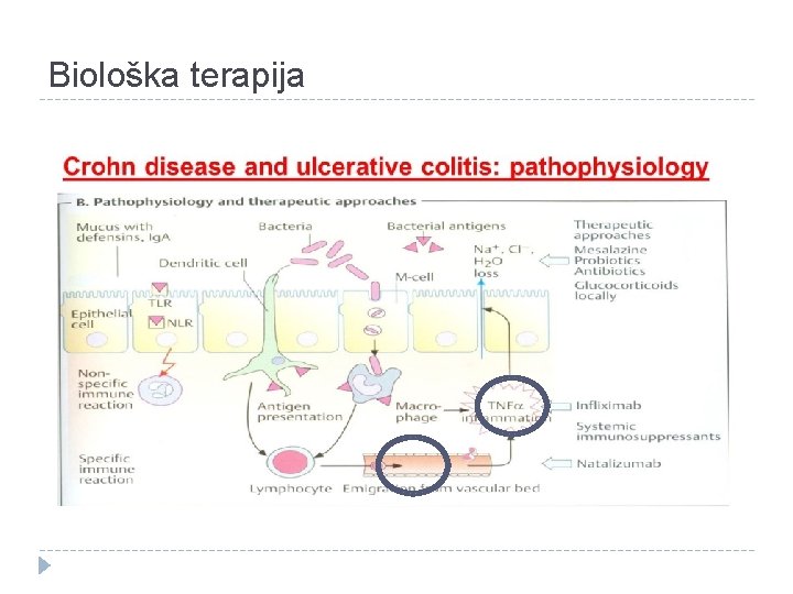 Biološka terapija Biološka terapija