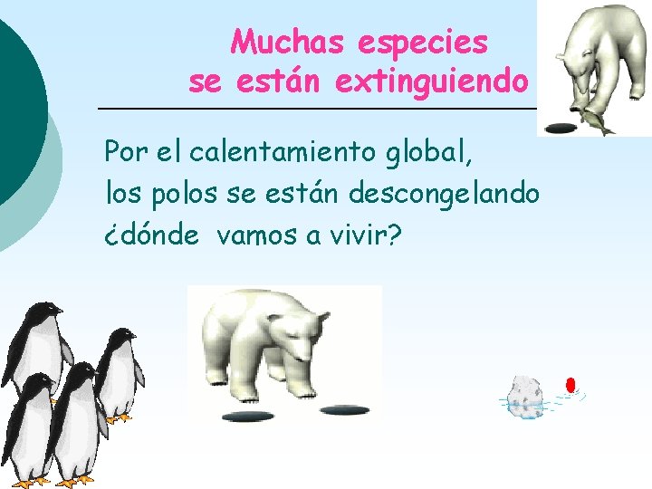 Muchas especies se están extinguiendo Por el calentamiento global, los polos se están descongelando