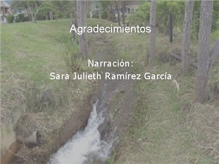 Agradecimientos Narración: Sara Julieth Ramírez García 