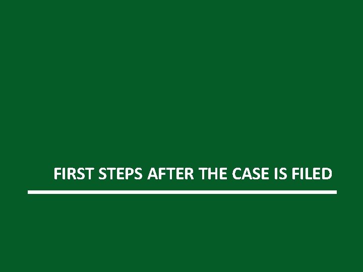 FIRST STEPS AFTER THE CASE IS FILED 