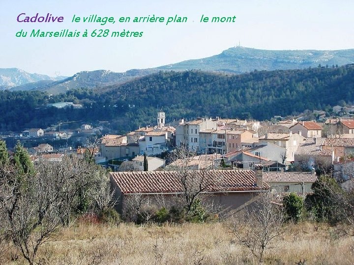 Cadolive le village, en arrière plan. le mont du Marseillais à 628 mètres 