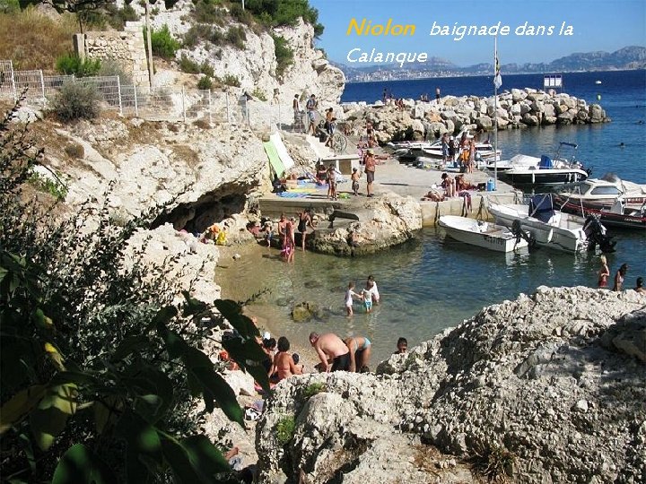 Niolon baignade dans la. Calanque 