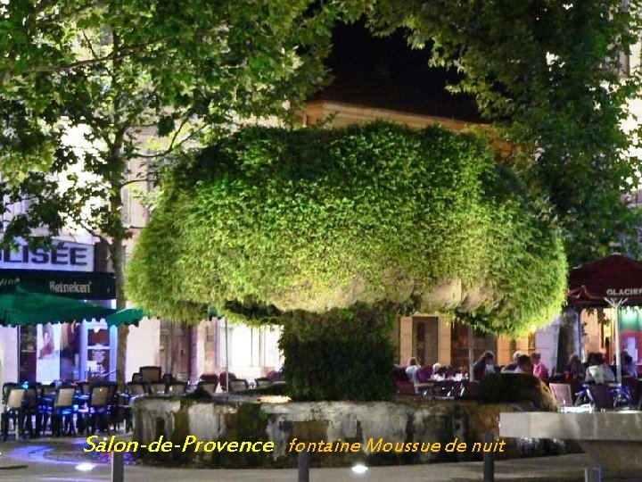 Salon-de-Provence fontaine Moussue de nuit 