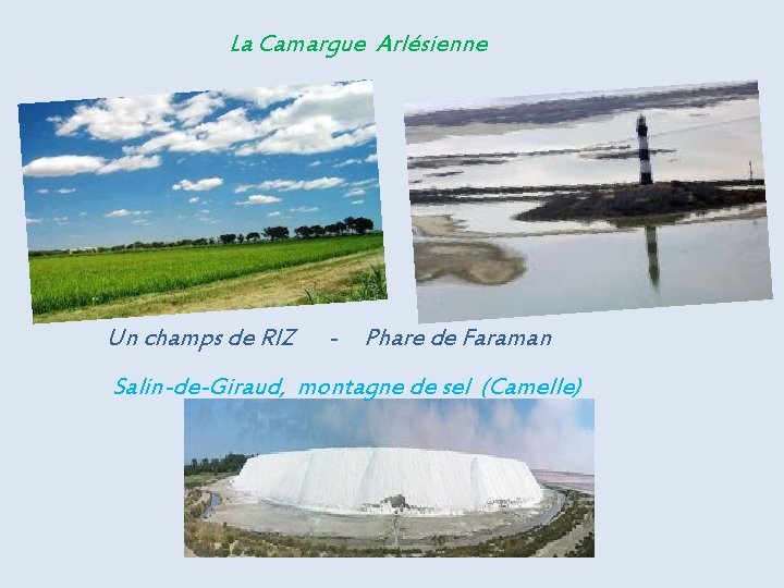 La Camargue Arlésienne Un champs de RIZ - Phare de Faraman Salin-de-Giraud, montagne de