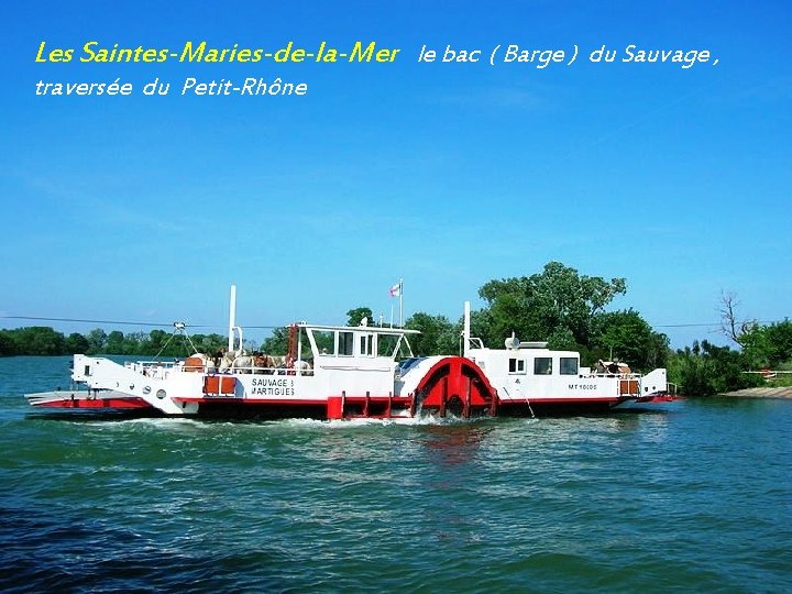 Les Saintes-Maries-de-la-Mer le bac ( Barge ) du Sauvage , traversée du Petit-Rhône 