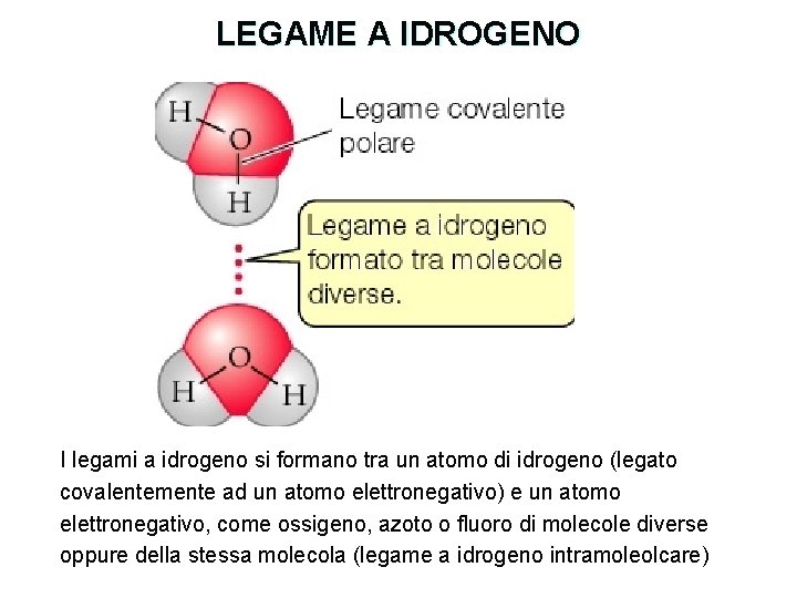 LEGAME A IDROGENO I legami a idrogeno si formano tra un atomo di idrogeno