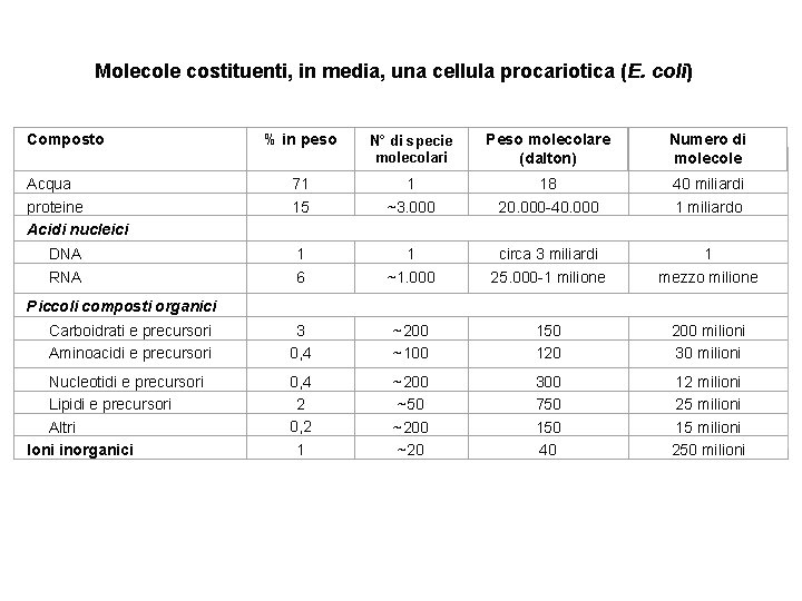  Molecole costituenti, in media, una cellula procariotica (E. coli) % in peso N°