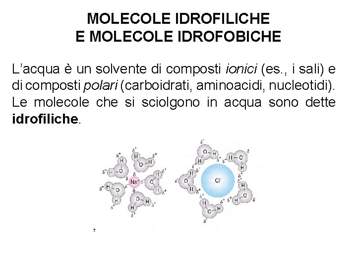 MOLECOLE IDROFILICHE E MOLECOLE IDROFOBICHE L’acqua è un solvente di composti ionici (es. ,