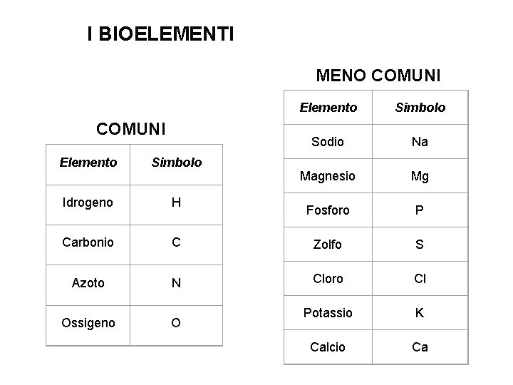 I BIOELEMENTI MENO COMUNI Elemento Simbolo Sodio Na Magnesio Mg Fosforo P Elemento Simbolo