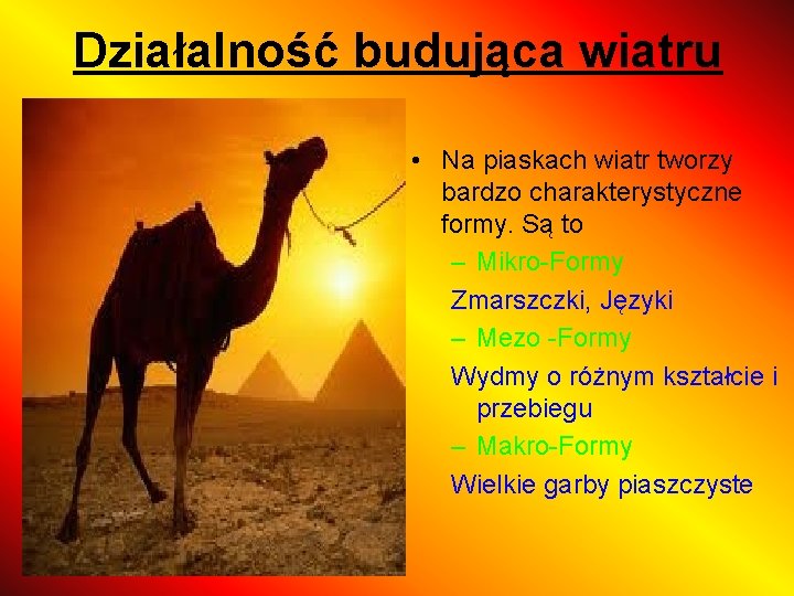 Działalność budująca wiatru • Na piaskach wiatr tworzy bardzo charakterystyczne formy. Są to –