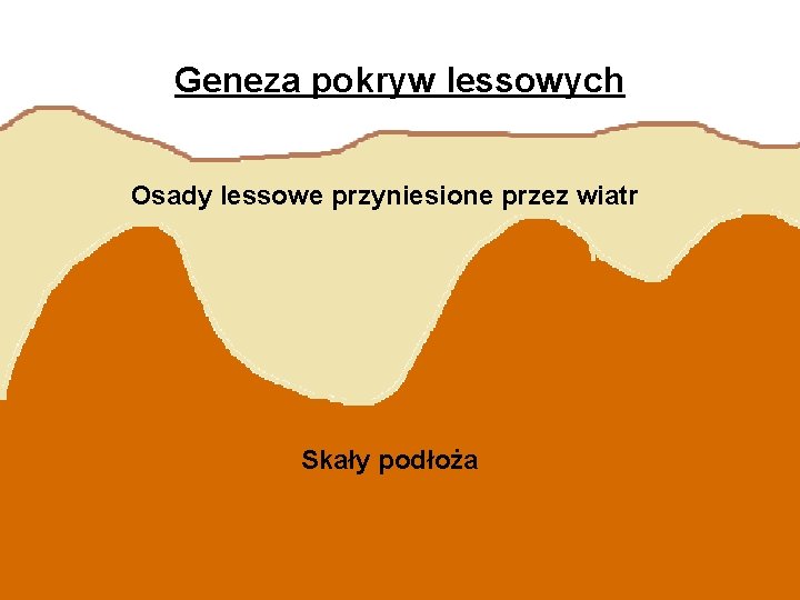 Geneza pokryw lessowych Osady lessowe przyniesione przez wiatr Skały podłoża 