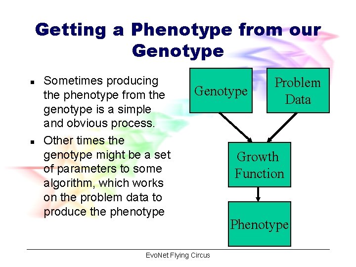 Getting a Phenotype from our Genotype n n Sometimes producing the phenotype from the